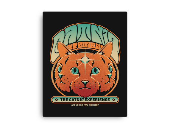 Catnip Experience