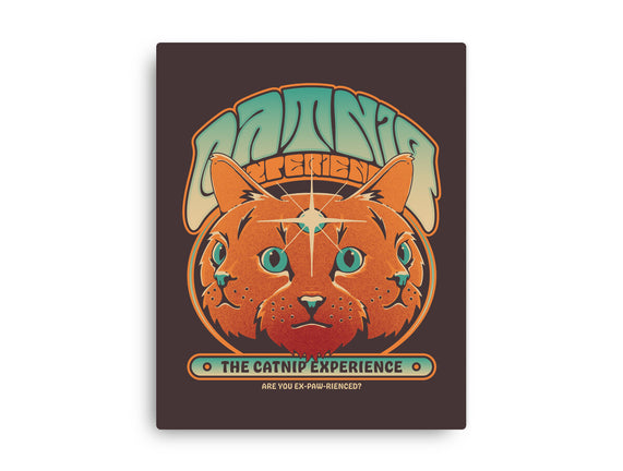 Catnip Experience