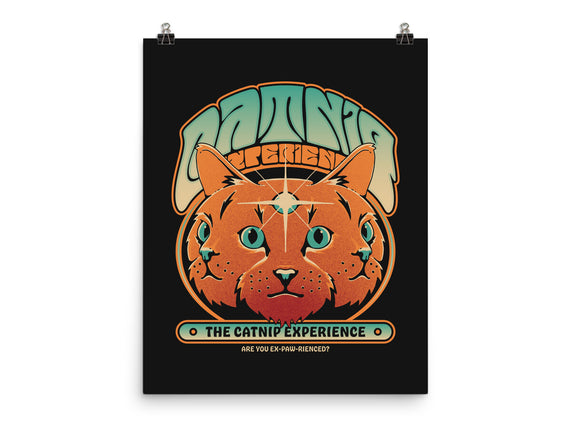 Catnip Experience