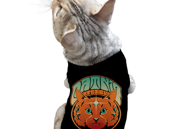 Catnip Experience