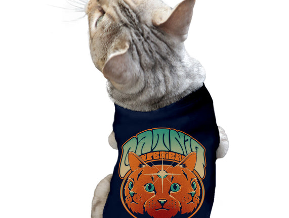 Catnip Experience