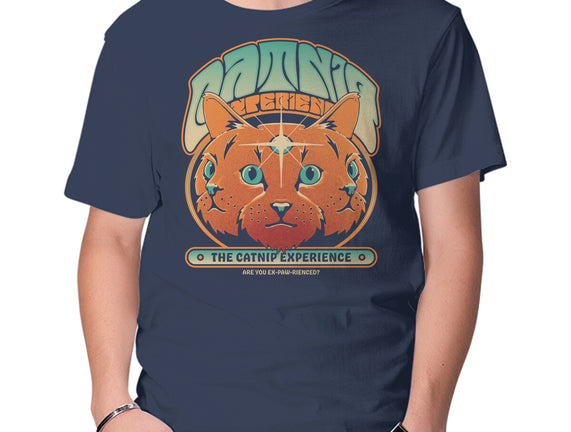 Catnip Experience