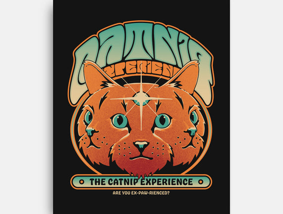 Catnip Experience