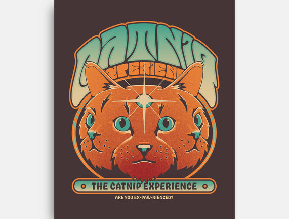 Catnip Experience