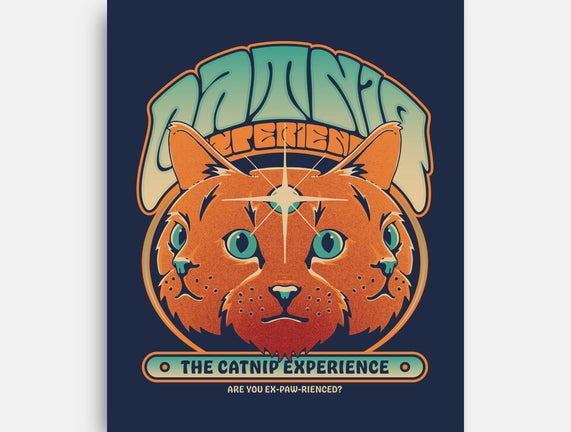 Catnip Experience