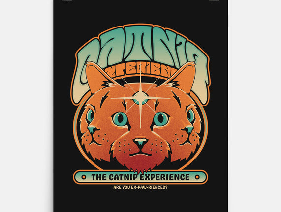 Catnip Experience