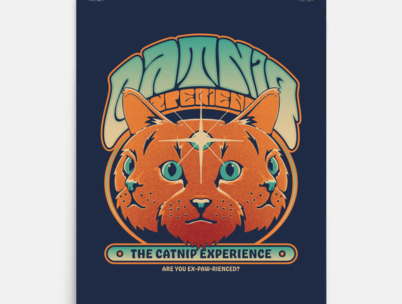 Catnip Experience