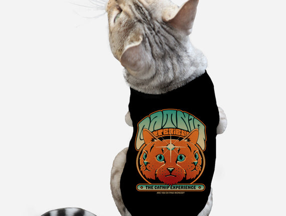 Catnip Experience