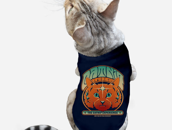 Catnip Experience