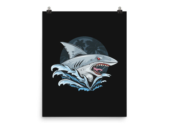 Shark Rage