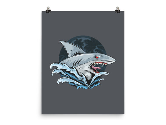 Shark Rage