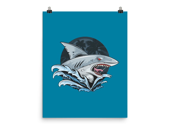 Shark Rage