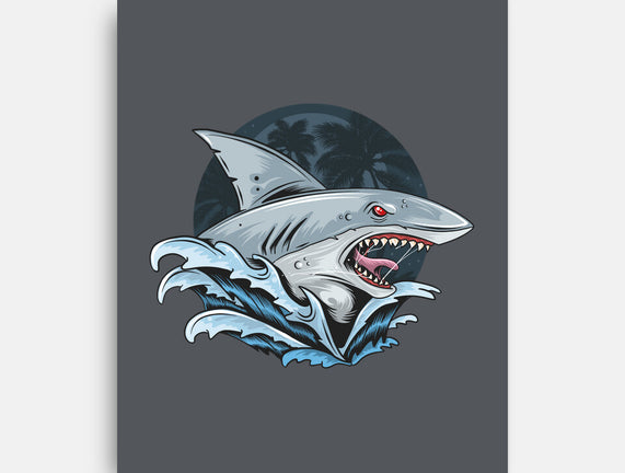Shark Rage