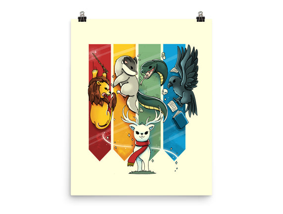 Magic Animals
