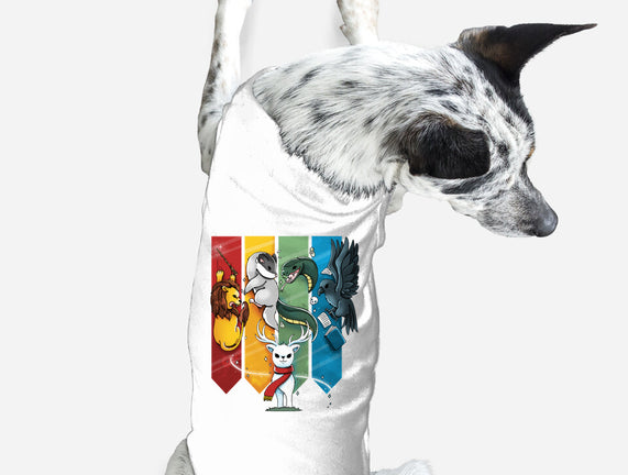 Magic Animals