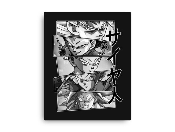 Saiyajin Heroes