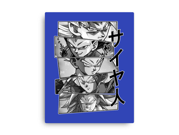 Saiyajin Heroes