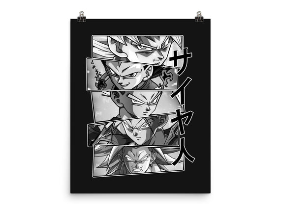 Saiyajin Heroes