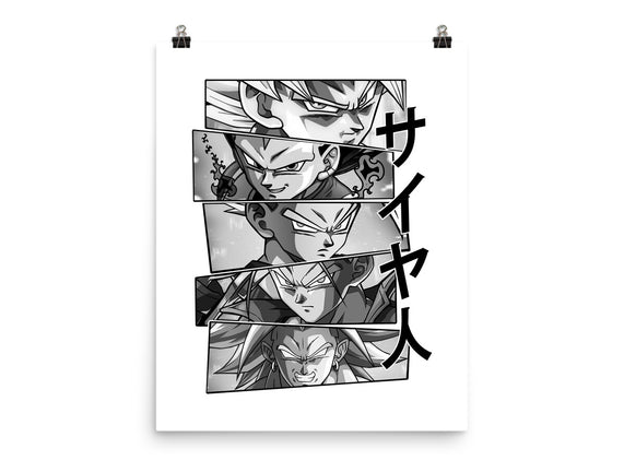 Saiyajin Heroes