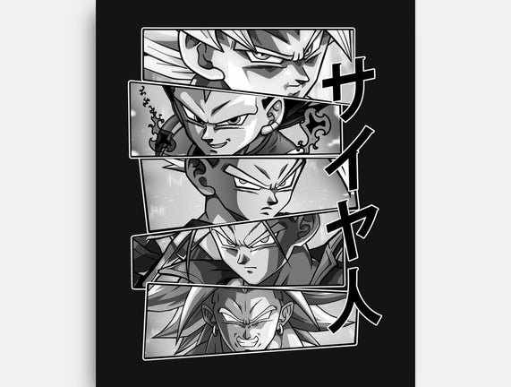 Saiyajin Heroes