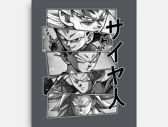 Saiyajin Heroes
