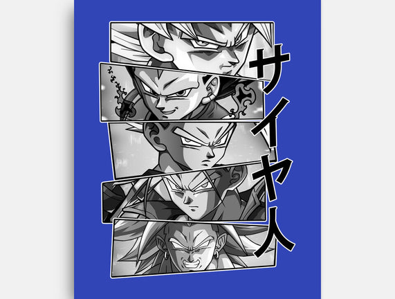 Saiyajin Heroes