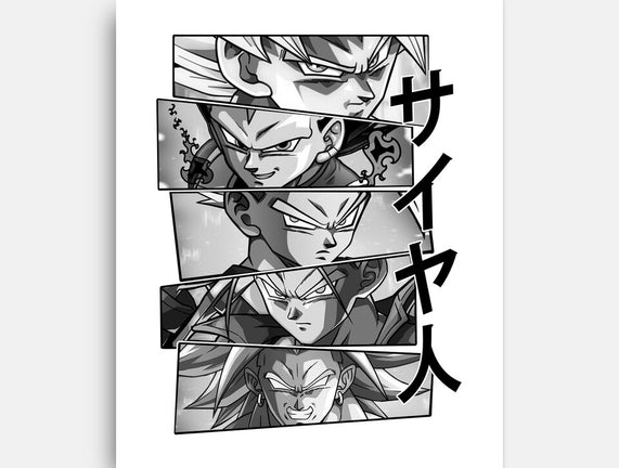 Saiyajin Heroes