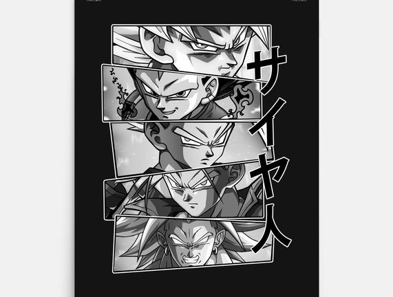 Saiyajin Heroes