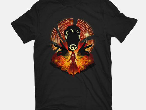 Sorcerer Vs Witch