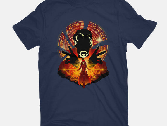 Sorcerer Vs Witch