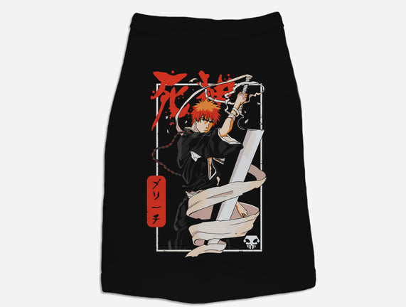 Samurai Ichigo