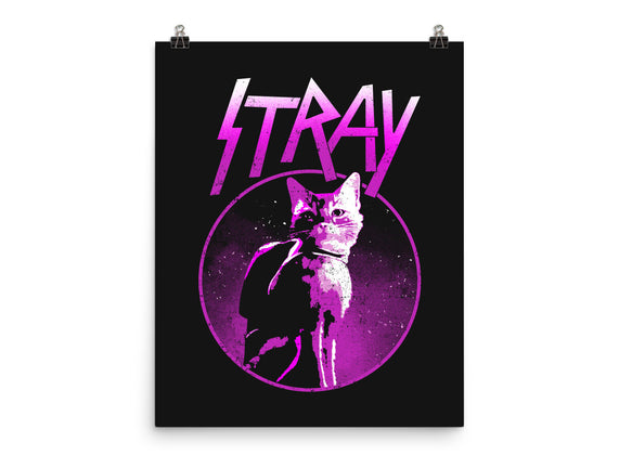 Neon Cat