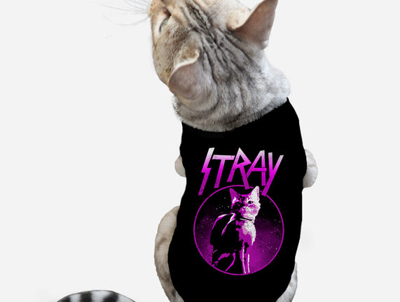 Neon Cat