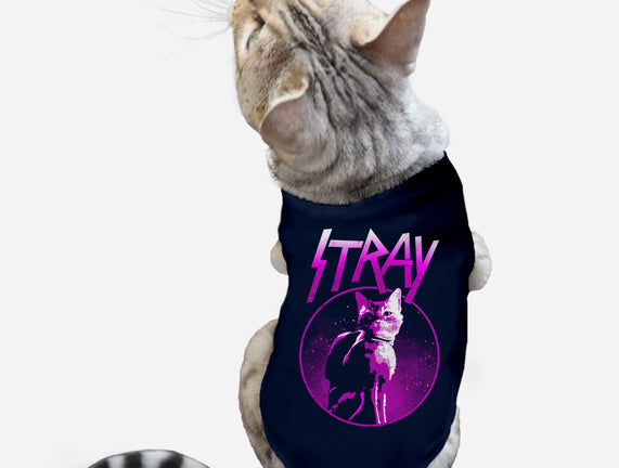 Neon Cat