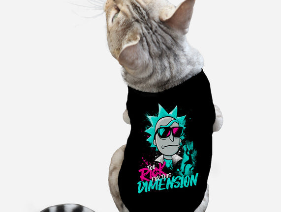 Too Rick For This Dimension