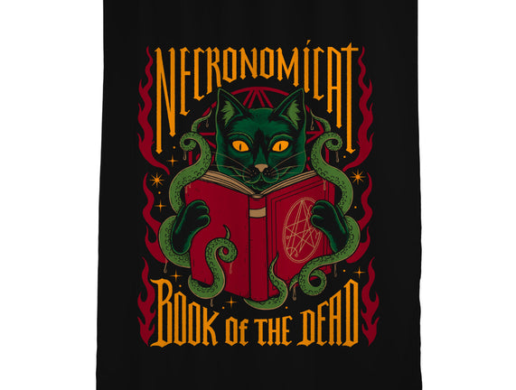 Necronomicat