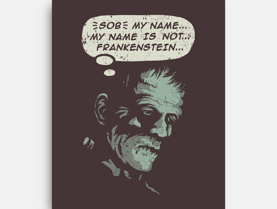 My Name Is Not Frankenstein