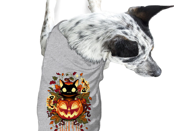 Autumn Tricks