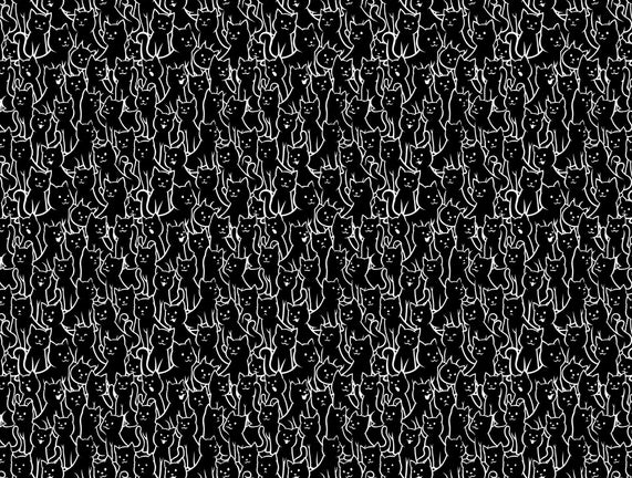 Lots Of Cats