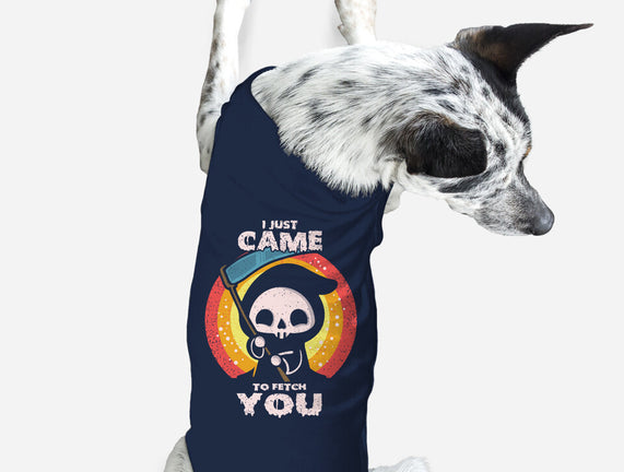I Came To Fetch You