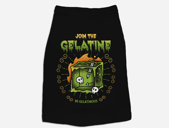 Join The Gelatine
