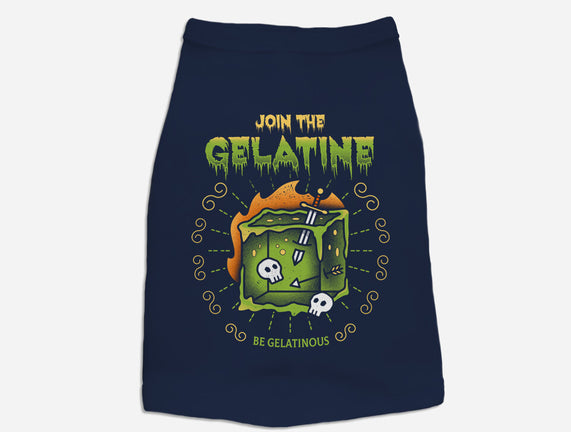 Join The Gelatine