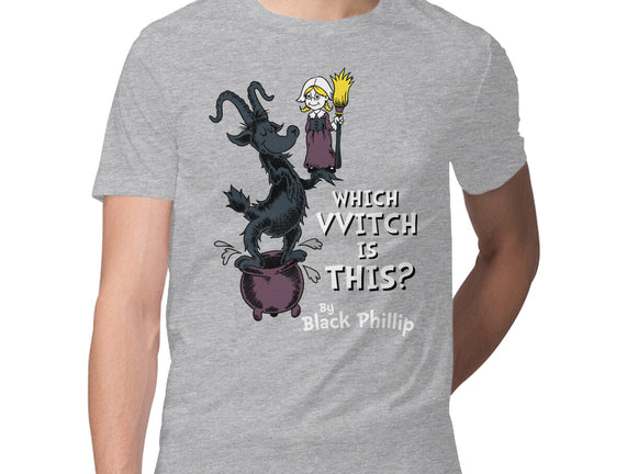 Which VVitch Is This?