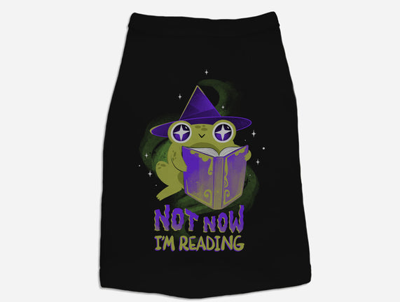 Not Now! I'm Reading