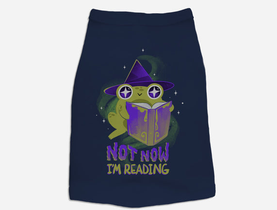 Not Now! I'm Reading