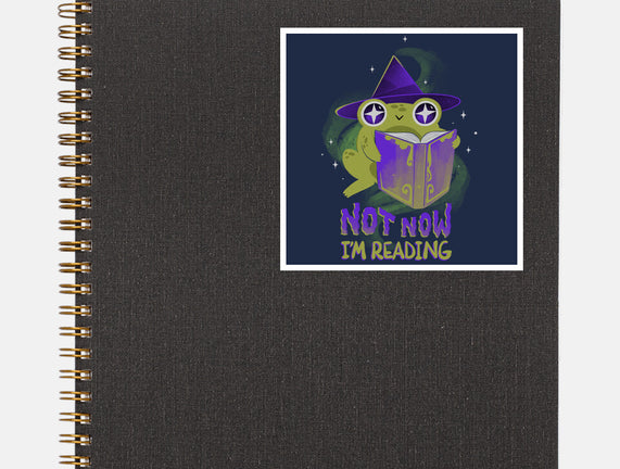Not Now! I'm Reading