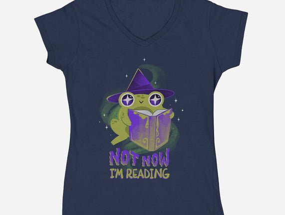 Not Now! I'm Reading