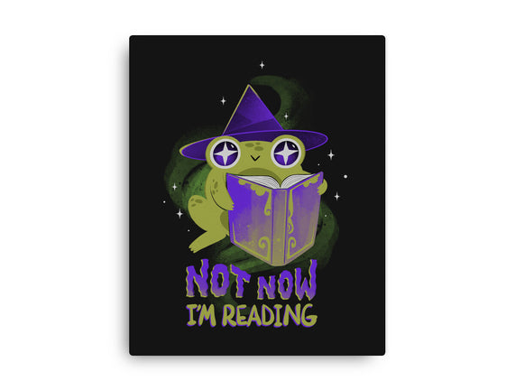Not Now! I'm Reading