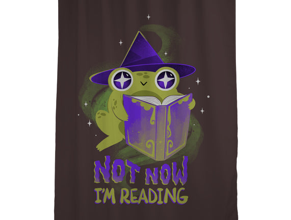 Not Now! I'm Reading