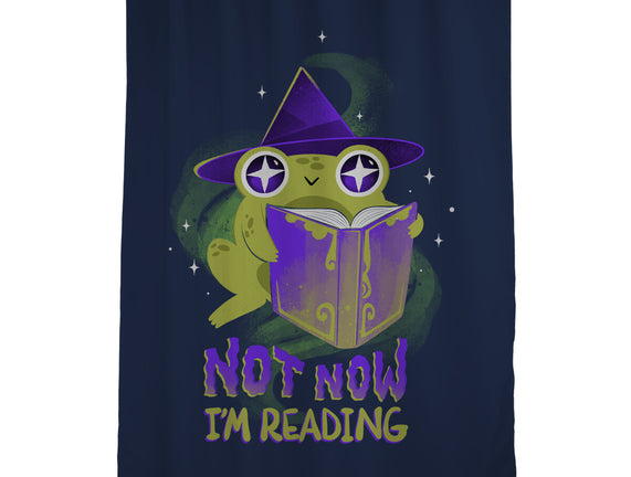 Not Now! I'm Reading